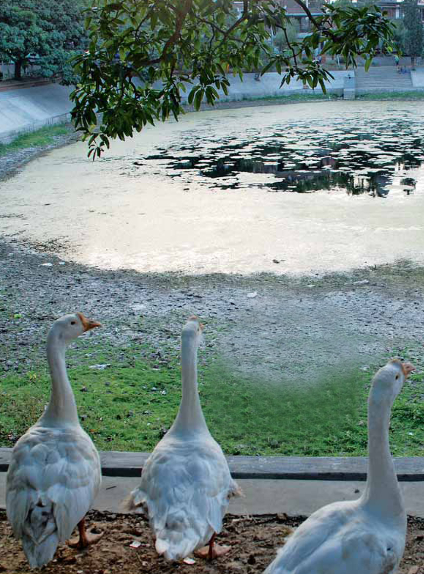 Freshwater in India